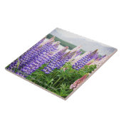 Carreau Pretty Lupins @ Lake Tekapo New Zealand (Côté)