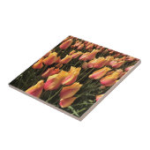 Carreau Pretty Pink et Yellow Tulips (Côté)