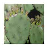 Carreau Prickly Pear Cactus Nature (Devant)