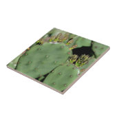 Carreau Prickly Pear Cactus Nature (Côté)