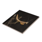 Carreau Prière Mantis Belle Et Déplaisante Insecte Art (Côté)