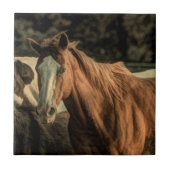 Carreau Primitive rustique de l'ouest cheval sauvage (Devant)