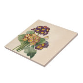 Carreau Primrose botanique (Côté)