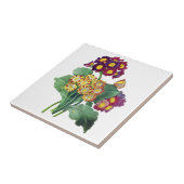 Carreau Primula Auriculum - Cowslip - Pierre Joseph Redout (Côté)