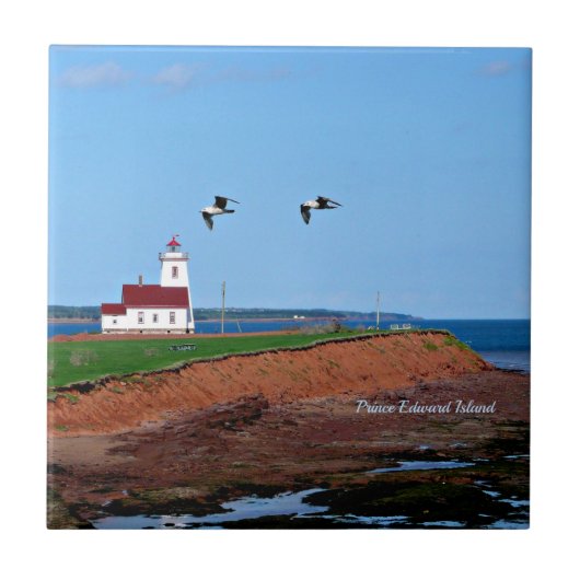 Carreau Prince Edward Island Lighthouse (Devant)