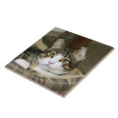 Carreau Pris (Côté)