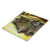 Carreau Pris la possession d'options (Côté)