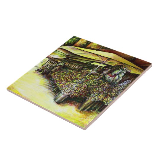 Carreau Pris la possession d'options (Côté)