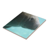 Carreau Produit de personnaliser (Côté)