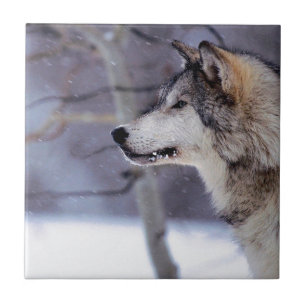 Carreau Produits enroués noirs de chien