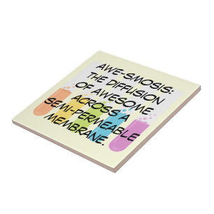 Carreau Professeurs de biologie et de chimie : La Science