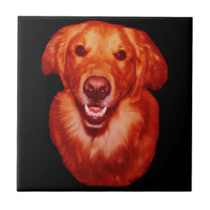 Carreau Profil avant Red Golden Retriever