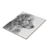 Carreau Profil d'or de Retreiver (Côté)