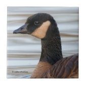 Carreau Profil d'une oie de caquetage (Devant)