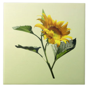 Carreau Profil d'une tuile de tournesol