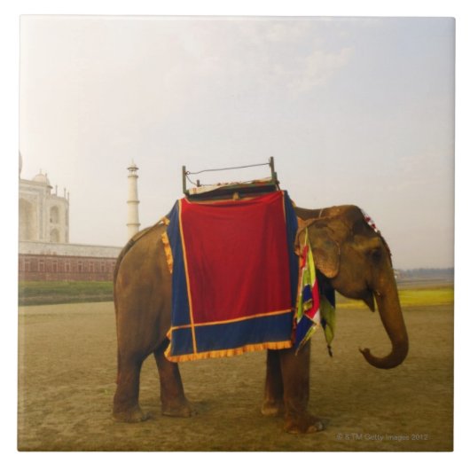Carreau Profil latéral d'un éléphant, le Taj Mahal, Inde (Devant)
