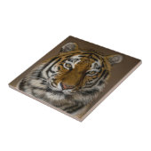 Carreau Profil Tiger (Côté)