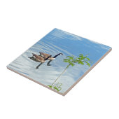 Carreau Profiter d'une baignade (Côté)