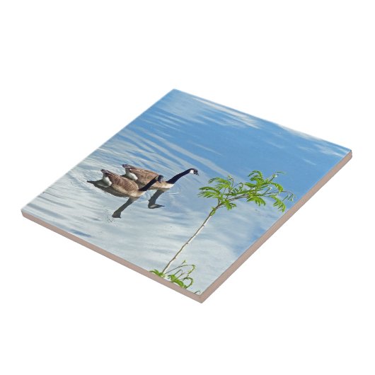 Carreau Profiter d'une baignade (Côté)