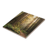 Carreau Promenade en forêt (Côté)