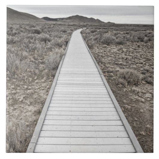 Carreau Promenade par le désert (Devant)