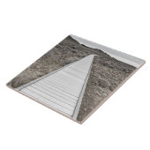 Carreau Promenade par le désert (Côté)