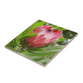 Carreau Protea rouge (Côté)