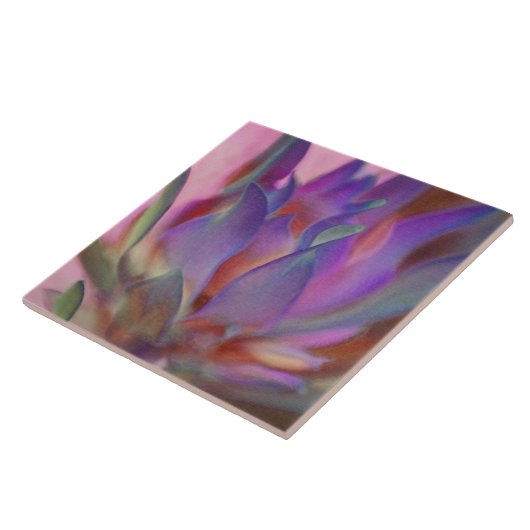 Carreau Prothé flamboyant (Côté)