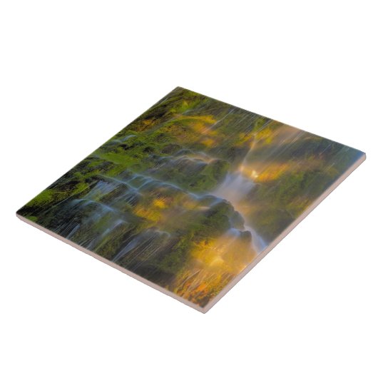 Carreau Proxy Falls Three Sisters Wilderness Oregon (Côté)