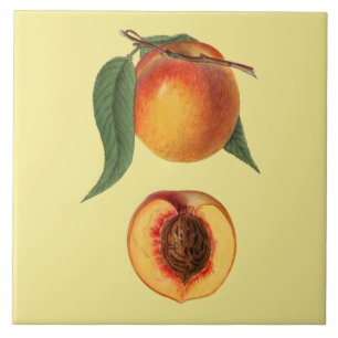 Carreau Prunus Persica Peach~Botanique ~Cuisine ~N'Importe