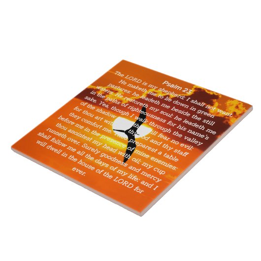 Carreau Psaume 23 Orange Sunset Seagull (Côté)