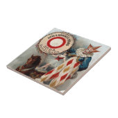 Carreau Publicité vintage Pour Arm & Hammer Soda (Côté)