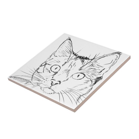 Carreau Puddy Cat (Côté)