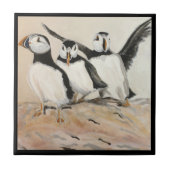 Carreau Puffin (Devant)