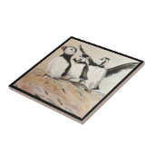 Carreau Puffin (Côté)