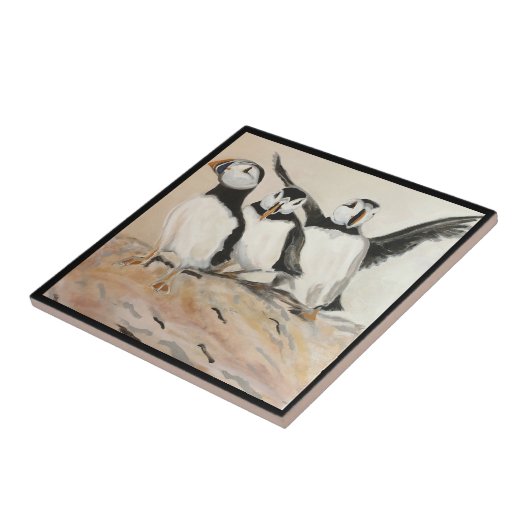 Carreau Puffin (Côté)