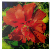 Carreau Puissance des fleurs rouges (Devant)