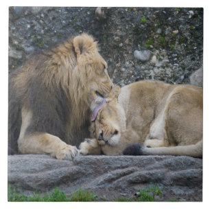 Carreau Puissant amour Lion