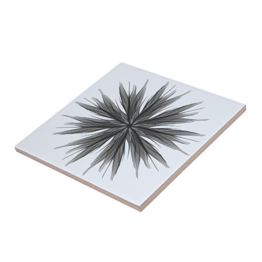 Carreau Pulvérisation circulaire noire et grise de feuille (Côté)