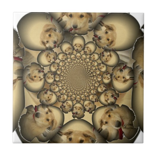 Carreau Puppy Kaleidoscope Art Print (Devant)