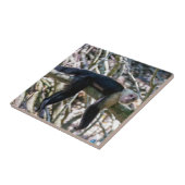 Carreau Pura vida pour singe capucin à tête blanche (Côté)