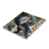 Carreau Pura vida pour singe capucin à tête blanche (Côté)