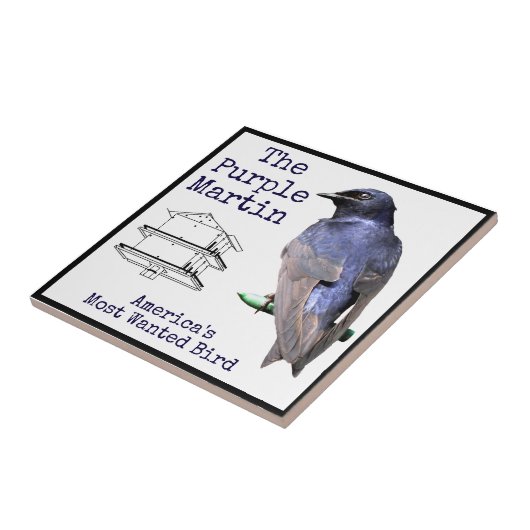 Carreau Purple (Côté)