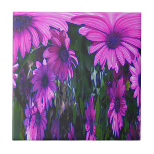 Carreau Purple Daisies Floral Art Abstrait