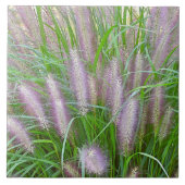 CARREAU PURPLE FONTAINE GRASS CERAMIC TILE (Devant)