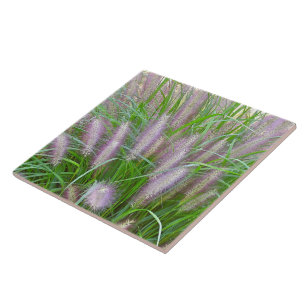 CARREAU PURPLE FONTAINE GRASS CERAMIC TILE