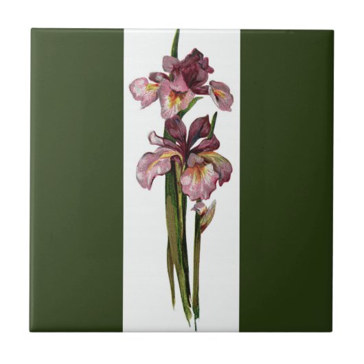 Carreau Purple Irises Vert foncé (Devant)