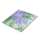 Carreau Purple Jacaranda Arbre Fleurs Nature (Côté)