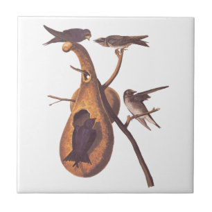 Carreau Purple Martin Audubon Bird Famille et Gourd Accuei