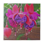 CARREAU PURPLE & PINK FUCHSIA CÉRAMIQUE TILE/TRIVET (Devant)